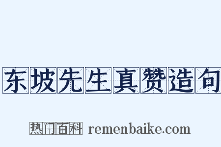 东坡先生真赞造句是什么意思的图片